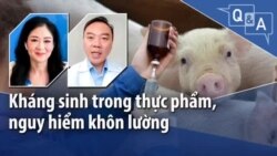 Kháng sinh trong thực phẩm, nguy hiểm khôn lường Kháng sinh trong thực phẩm, nguy hiểm khôn lường