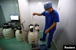 北京一家医院辅助生殖中心实验室的一名医生在演示取出装在液氮保存装置中的胚胎标本。(2023年4月6日)