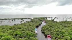 သမ္မတဘိုင်ဒန်ရဲ့ သဘာဝပတ်ဝန်းကျင်ထိမ်းသိမ်းရေးလုပ်ငန်းများ
(နှစ်ကုန်အထူးအစီအစဉ်) သမ္မတဘိုင်ဒန်ရဲ့ သဘာဝပတ်ဝန်းကျင်ထိမ်းသိမ်းရေးလုပ်ငန်းများ
(နှစ်ကုန်အထူးအစီအစဉ်)