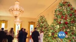 စေတနာ့ဝန်ထမ်းတွေနဲ့ အလှဆင်ထားတဲ့ အိမ်ဖြူတော်
 စေတနာ့ဝန်ထမ်းတွေနဲ့ အလှဆင်ထားတဲ့ အိမ်ဖြူတော်