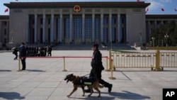 北京人大会堂外的警察和警犬。(2024年3月11日)