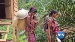 ရှင်သန်ရပ်တည်ရေးအခက်အခဲကြားက အင်ဒိုတိုင်းရင်းလူမျိုးစု
 ရှင်သန်ရပ်တည်ရေးအခက်အခဲကြားက အင်ဒိုတိုင်းရင်းလူမျိုးစု
