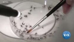 သွေးလွန်တုပ်ကွေး နောက်ထပ် ကာကွယ်ရေး
 သွေးလွန်တုပ်ကွေး နောက်ထပ် ကာကွယ်ရေး