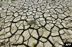 中国重庆段长江因干旱裸露的河床。(2022年8月16日)