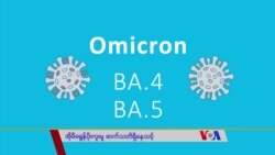 အိုမီခရွန်ပိုးကူးမှု ဆက်သတိရှိသင့် “လူထုနဲ့ ကျန်းမာရေး” အိုမီခရွန်ပိုးကူးမှု ဆက်သတိရှိသင့် “လူထုနဲ့ ကျန်းမာရေး”