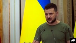 资料照片:乌克兰总统泽连斯基。