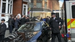 Американський уряд домагається екстрадиції Джуліана Ассанжа до США. Відео Американський уряд домагається екстрадиції Джуліана Ассанжа до США. Відео