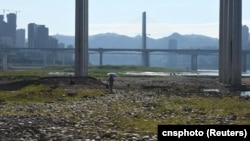一名女子走过因干旱而裸露在外的重庆段长江河床。(2022年8月17日)