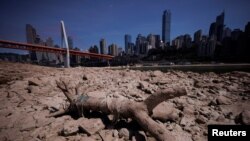 中国重庆段长江因干旱裸露的河床。(2022年8月18日)