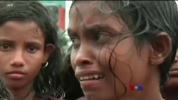 ငါးနှစ်တာ ရိုဟင်ဂျာအကျပ်အတည်းအရေး ငါးနှစ်တာ ရိုဟင်ဂျာအကျပ်အတည်းအရေး