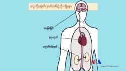 သွေးတိုးရောဂါအန္တရာယ် ရှောင်ရှားနိုင်ဖို့ “လူထုနဲ့ ကျန်းမာရေး”  သွေးတိုးရောဂါအန္တရာယ် ရှောင်ရှားနိုင်ဖို့ “လူထုနဲ့ ကျန်းမာရေး”