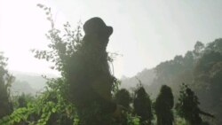 စဈကောငျစီရဲ့ စီမံကိနျးတှမှော ပူးပေါငျးပါဝငျခွငျး မပွုဖို့ ခငြျး CJDC ကွညော စဈကောငျစီရဲ့ စီမံကိနျးတှမှော ပူးပေါငျးပါဝငျခွငျး မပွုဖို့ ခငြျး CJDC ကွညော