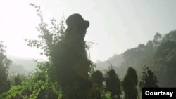 Kanpetlet CDF / ကန်ပက်လက်