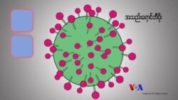 ဘီပိုး၊စီပိုး ထိန်းချုပ်နေထိုင်နည်း “လူထုနဲ့ ကျန်းမာရေး” ဘီပိုး၊စီပိုး ထိန်းချုပ်နေထိုင်နည်း “လူထုနဲ့ ကျန်းမာရေး”