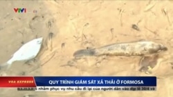 Formosa nhận trách nhiệm, bồi thường 500 triệu đôla Formosa nhận trách nhiệm, bồi thường 500 triệu đôla