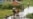 16x9 Image