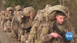 In Forests Along Polish Border, US Troops Edge Closer to Ukraine Conflict In Forests Along Polish Border, US Troops Edge Closer to Ukraine Conflict
