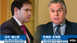 共和党联邦参议员鲁比奥和众议员史密斯11月28日针对中国多地爆发“白纸革命”发表共同声明。(美国之音制图)