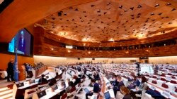 လူ့အခွင့်အရေးကောင်စီက ရုရှားကို ဖယ်ရှားဖို့ ကန်တိုက်တွန်း လူ့အခွင့်အရေးကောင်စီက ရုရှားကို ဖယ်ရှားဖို့ ကန်တိုက်တွန်း