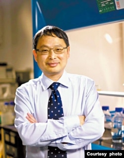 香港大学生物医学学院教授金冬雁