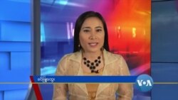 နေ့စဉ် တီဗွီသတင်းလွှာ (၀၄-၂၉ -၂၀၂၀) နေ့စဉ် တီဗွီသတင်းလွှာ (၀၄-၂၉ -၂၀၂၀)