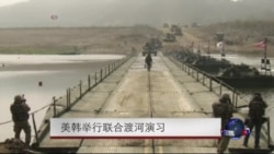 美韩举行联合渡河训练 美韩举行联合渡河训练