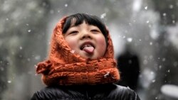 Hỏi đáp Y học: Lichen phẳng và Hội chứng rát miệng/lưỡi Hỏi đáp Y học: Lichen phẳng và Hội chứng rát miệng/lưỡi