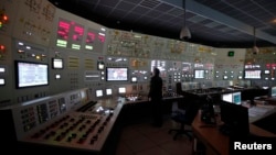 资料照:一名工作人员在位于捷克的杜科瓦尼核电站控制室内