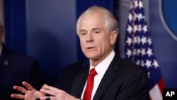 白宫贸易顾问彼得·纳瓦罗于 2020 年 3 月 22 日在举行的白宫新冠病毒特别工作组简报会上发表讲话。