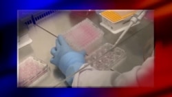 时事大家谈:孙春兰督战北京防疫 封城焦虑蔓延?猴痘疫情扩散要不要担心?  时事大家谈:孙春兰督战北京防疫 封城焦虑蔓延?猴痘疫情扩散要不要担心?