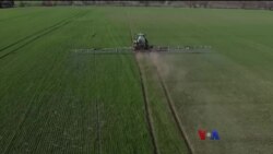 ယူကရိန်းစစ်နောက်ဆက်တွဲ ကမ္ဘာ့ရိက္ခာရှားပါးမှု ယူကရိန်းစစ်နောက်ဆက်တွဲ ကမ္ဘာ့ရိက္ခာရှားပါးမှု