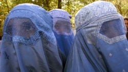 အာဖဂန်အမျိုးသမီးတွေ လူမြင်ကွင်းမှာ ခြေဆုံးခေါင်းဆုံး ခေါင်းမြီးခြုံဖို့ တာလီဘန်တွေ အမိန့်ထုတ် အာဖဂန်အမျိုးသမီးတွေ လူမြင်ကွင်းမှာ ခြေဆုံးခေါင်းဆုံး ခေါင်းမြီးခြုံဖို့ တာလီဘန်တွေ အမိန့်ထုတ်