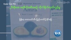 Export မျှော်တဲ့ မြန်မာ့ ထောပတ်သီး Export မျှော်တဲ့ မြန်မာ့ ထောပတ်သီး