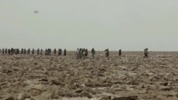 ምትእትታው ዘመናዊ መነባብሮ ኣብቲ ንዘመናት ዝጸንሓ ባህላዊ ማዕድን ጨው ኢትዮጵያ ምትእትታው ዘመናዊ መነባብሮ ኣብቲ ንዘመናት ዝጸንሓ ባህላዊ ማዕድን ጨው ኢትዮጵያ