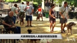 犬类博物馆向人类最好的朋友致敬 犬类博物馆向人类最好的朋友致敬