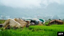 မူဆယ်မြို့နယ်အတွင်းက ထွက်ပြေးလာတဲ့ စစ်ဘေးဒုက္ခသည်တွေရဲ့ ယာယီတဲများ။ (သြဂုတ်လ ၁၅၊ ၂၀၂၁)