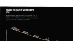 နှစ်ပေါင်း ၅၀ နီးပါးအတွင်း သက်ရှိ ၆၉% ပျောက်ကွယ်ခဲ့.mp3 နှစ်ပေါင်း ၅၀ နီးပါးအတွင်း သက်ရှိ ၆၉% ပျောက်ကွယ်ခဲ့.mp3