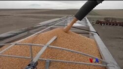 ယူကရိန်းစစ် ကမ္ဘာ့ဂျုံဈေးအပေါ် ရိုက်ခတ် ယူကရိန်းစစ် ကမ္ဘာ့ဂျုံဈေးအပေါ် ရိုက်ခတ်