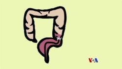 ၀မ်းထဲ သွေးပါခြင်းနဲ့ အူမကြီးကင်ဆာ “လူထုနဲ့ ကျန်းမာရေး” ၀မ်းထဲ သွေးပါခြင်းနဲ့ အူမကြီးကင်ဆာ “လူထုနဲ့ ကျန်းမာရေး”