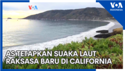 Amerika Tetapkan Suaka Laut Raksasa Baru di California Amerika Tetapkan Suaka Laut Raksasa Baru di California