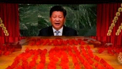 专访诺丁:谈中国外交思想与战狼外交 专访诺丁:谈中国外交思想与战狼外交