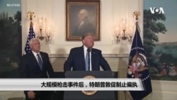 大规模枪击事件后,特朗普敦促制止偏执 大规模枪击事件后,特朗普敦促制止偏执