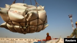 资料照:中国江苏省南通港口工人装卸进口的大豆产品。(2018年4月9日)