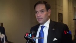 鲁比奥参议员接受美国之音专访 鲁比奥参议员接受美国之音专访