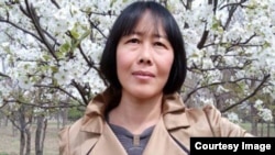 《民生观察》编辑丁灵杰(丁灵杰推特)