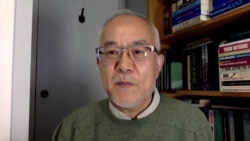 加拿大维多利亚大学政治和历史系教授吴国光 (采访视频截图)