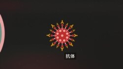 新冠疫苗测试的原理是什么? 新冠疫苗测试的原理是什么?