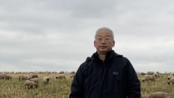 “集中力量办坏事办蠢事的典型” 王维洛回顾三峡、南水北调决策上马始末 “集中力量办坏事办蠢事的典型” 王维洛回顾三峡、南水北调决策上马始末