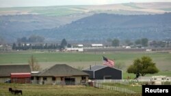 美国国旗在华盛顿州富兰克林郡的一处农场上空飘扬。(2020年4月22日)