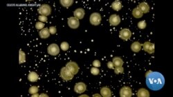 英语视频：微生物 - 我们肠道中的健康标兵